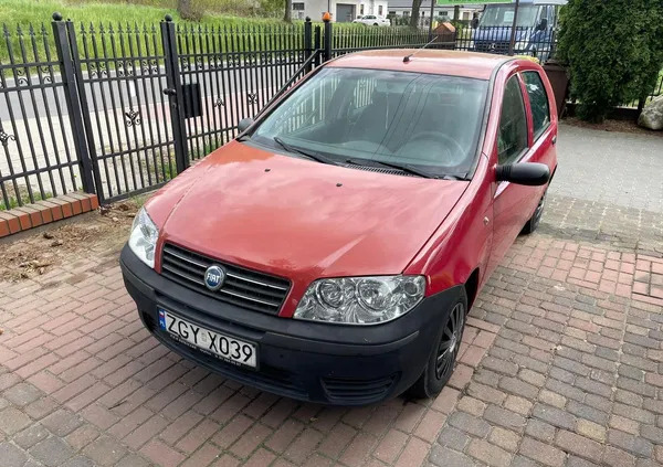 zachodniopomorskie Fiat Punto cena 3700 przebieg: 189500, rok produkcji 2004 z Kietrz